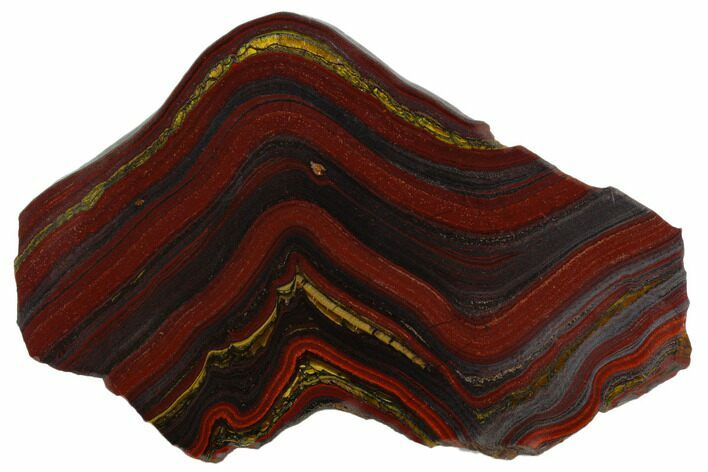 Polished Tiger Iron Stromatolite - Billion Years #129291